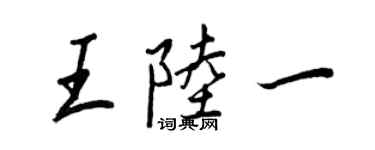 王正良王陆一行书个性签名怎么写
