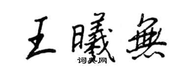 王正良王曦无行书个性签名怎么写
