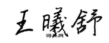 王正良王曦舒行书个性签名怎么写