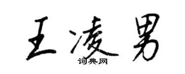 王正良王凌男行书个性签名怎么写