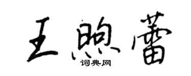 王正良王煦蕾行书个性签名怎么写