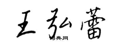 王正良王弘蕾行书个性签名怎么写