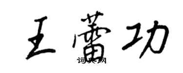 王正良王蕾功行书个性签名怎么写