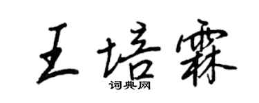 王正良王培霖行书个性签名怎么写