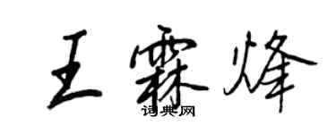 王正良王霖烽行书个性签名怎么写