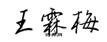 王正良王霖梅行书个性签名怎么写