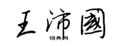 王正良王沛国行书个性签名怎么写