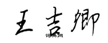 王正良王吉卿行书个性签名怎么写