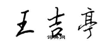 王正良王吉亭行书个性签名怎么写