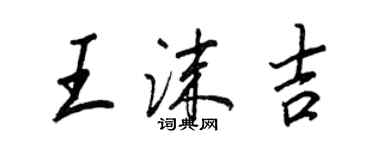王正良王沫吉行书个性签名怎么写