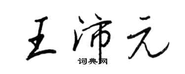 王正良王沛元行书个性签名怎么写