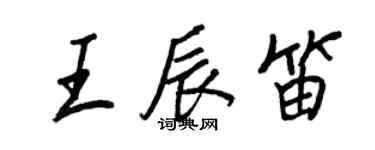 王正良王辰笛行书个性签名怎么写