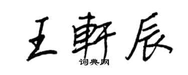 王正良王轩辰行书个性签名怎么写