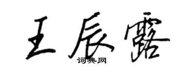 王正良王辰露行书个性签名怎么写