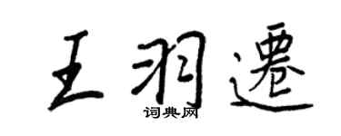 王正良王羽迁行书个性签名怎么写