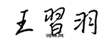 王正良王习羽行书个性签名怎么写