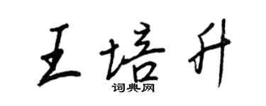 王正良王培升行书个性签名怎么写