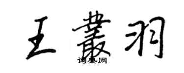 王正良王丛羽行书个性签名怎么写