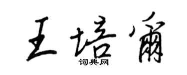 王正良王培尔行书个性签名怎么写