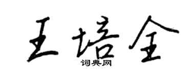 王正良王培全行书个性签名怎么写