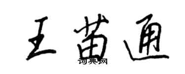 王正良王苗通行书个性签名怎么写