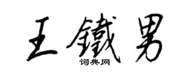 王正良王铁男行书个性签名怎么写