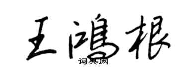 王正良王鸿根行书个性签名怎么写