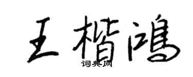 王正良王楷鸿行书个性签名怎么写