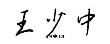 王正良王少中行书个性签名怎么写