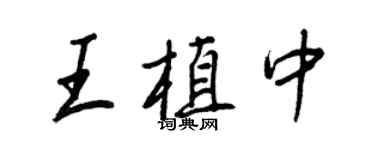 王正良王植中行书个性签名怎么写