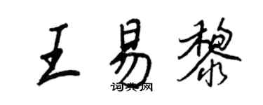 王正良王易黎行书个性签名怎么写