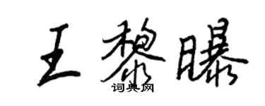 王正良王黎曝行书个性签名怎么写