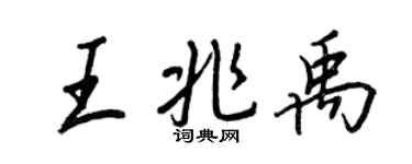 王正良王兆禹行书个性签名怎么写