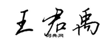 王正良王君禹行书个性签名怎么写