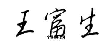 王正良王富生行书个性签名怎么写