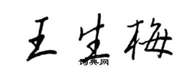 王正良王生梅行书个性签名怎么写