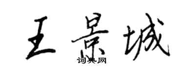 王正良王景城行书个性签名怎么写