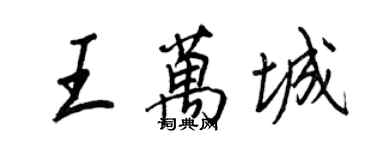 王正良王万城行书个性签名怎么写