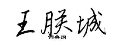 王正良王朕城行书个性签名怎么写