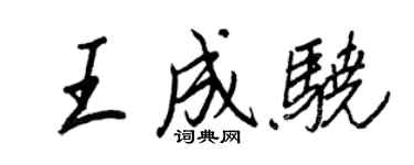 王正良王成骁行书个性签名怎么写