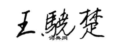 王正良王骁楚行书个性签名怎么写