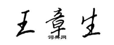 王正良王章生行书个性签名怎么写