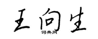 王正良王向生行书个性签名怎么写