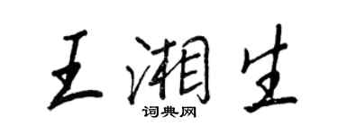 王正良王湘生行书个性签名怎么写