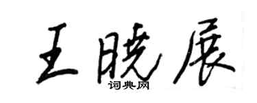 王正良王晓展行书个性签名怎么写