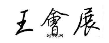 王正良王会展行书个性签名怎么写
