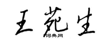 王正良王苑生行书个性签名怎么写