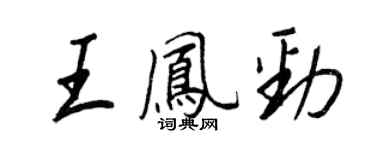 王正良王凤劲行书个性签名怎么写