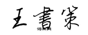 王正良王书策行书个性签名怎么写