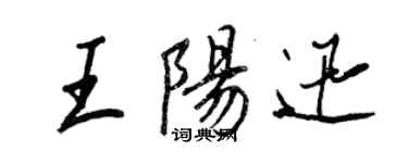 王正良王阳迅行书个性签名怎么写